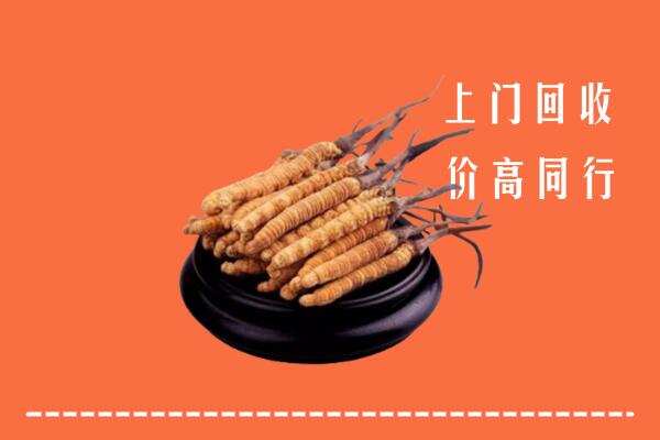 高价求购：防城港市回收散虫草